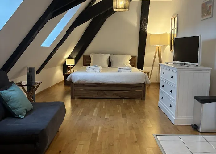 L'ecume Des Jours Lejlighed Colmar