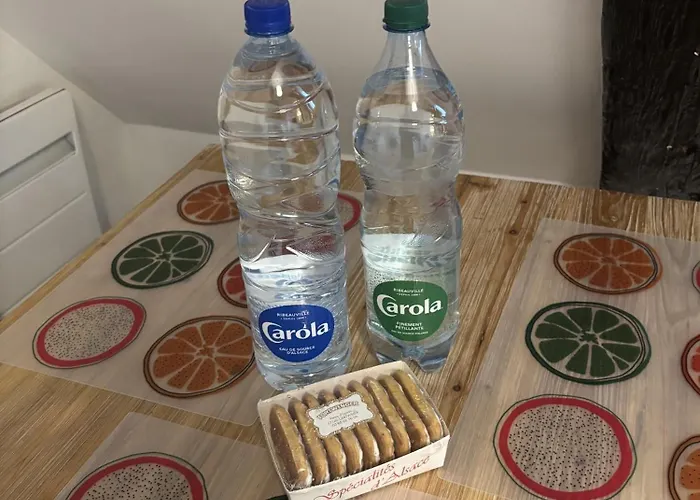 Lejlighed L'ecume Des Jours Colmar