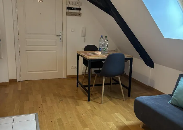 L'ecume Des Jours Lejlighed Colmar